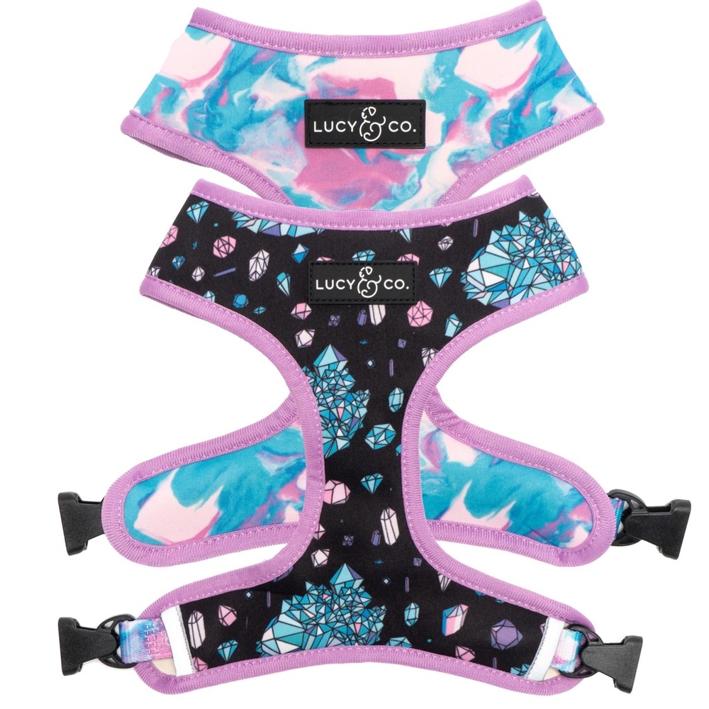 Lucy & Co Dog You’re A Gem Harness and Leash - Reversible - Small